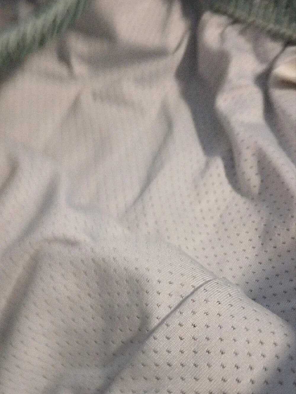 YoungLA 150 After Party Mystic Mountain Mesh Shorts Small Men